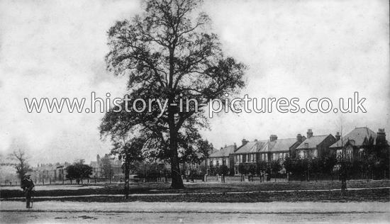 Avenue Road, Bushwood, Leytonstone, London. c.1905.
